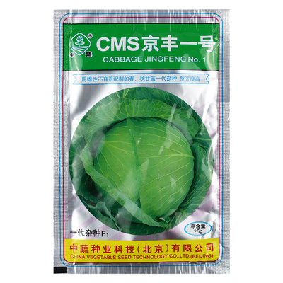 包心菜包心菜春季甘蓝种子籽春季