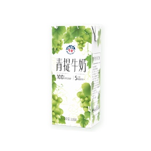 乍甸青提牛奶200g*8盒高原阳光玫瑰果味奶营养早餐甜牛奶礼盒