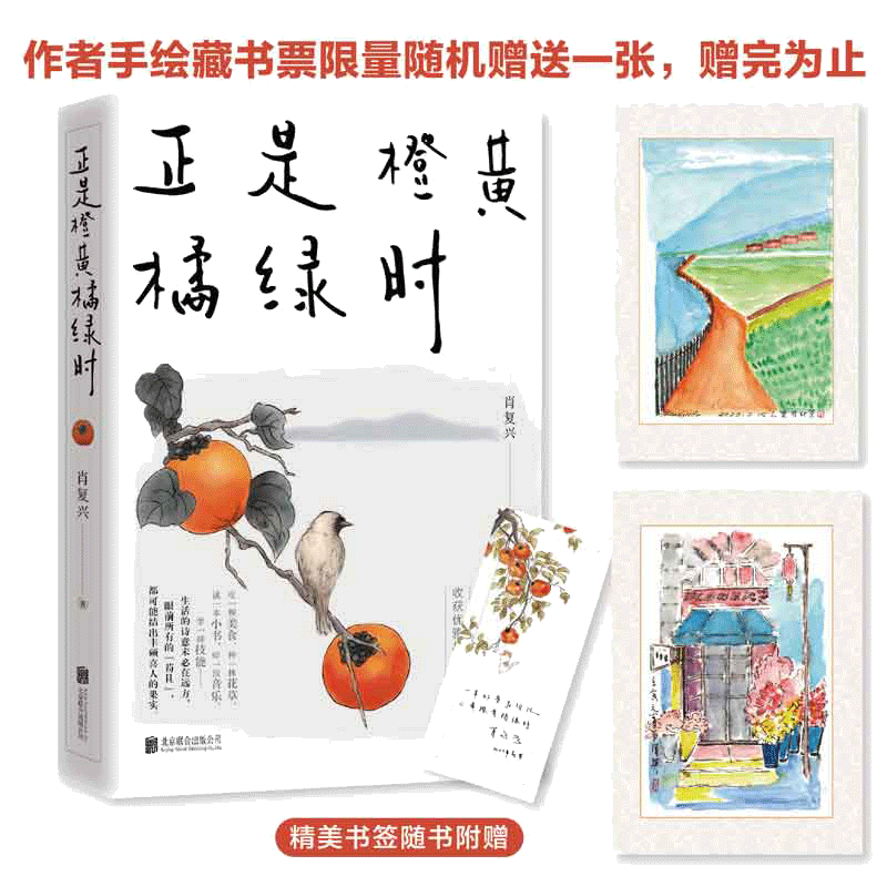 当当网官方旗舰正是橙黄橘绿