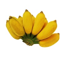 正宗廣西小米蕉香蕉9斤新鮮水果整箱當(dāng)季鮮蘋果蕉自然熟粉蕉包郵