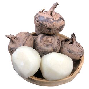 湖北特产马蹄新鲜带泥大个马蹄现挖荸荠脆甜当季水果蔬菜马蹄包邮