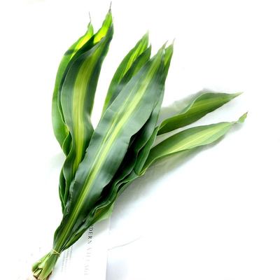 配叶天门冬春兰富贵鸟玉簪艾草