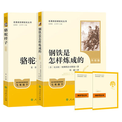 人教版骆驼钢铁西游七八九必读书