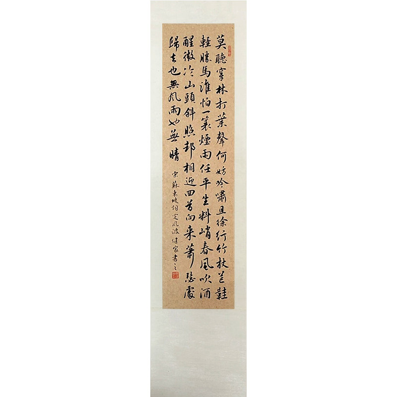纯手写苏轼定风波书法挂画字画真书法