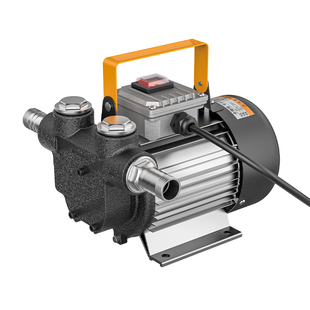 电动抽油泵12V24V220V柴油大流量自吸泵大功率齿轮泵加油机加油枪