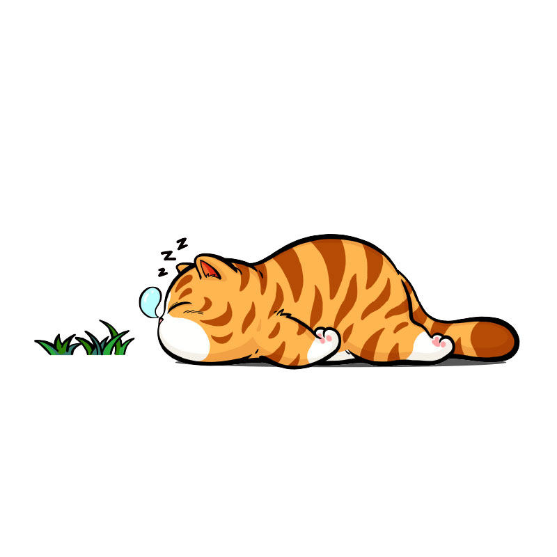 萌猫开关贴给卧室增添温馨氛围感