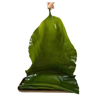 东北大连海带饭包整颗盐渍海带裙带菜包饭专用凉拌菜火锅食材新鲜