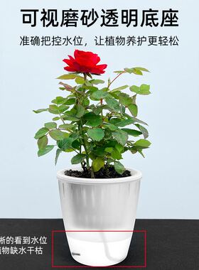 6个装 桌面自吸水懒人花盆新款多孔透气办公室园艺创意水培树脂盆