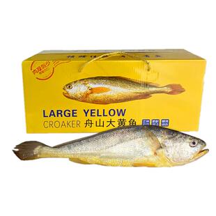 七条船舟山半野生大黄鱼鲜活东海深海黄花鱼新鲜冷冻海鲜水产礼盒