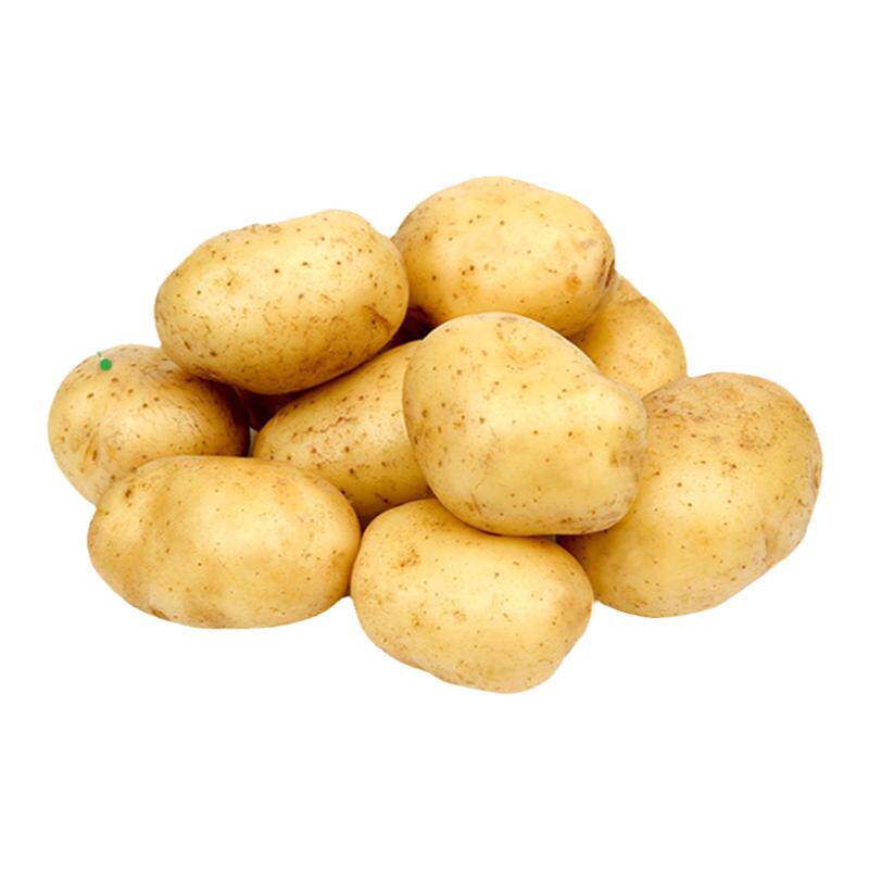 贵州威宁土豆现挖5斤/10农家自种