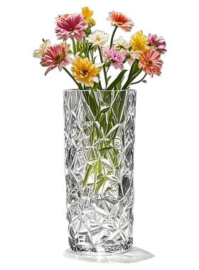 花瓶摆件客厅插花高级感玻璃透明水晶水养玫瑰百合专用餐桌轻奢风