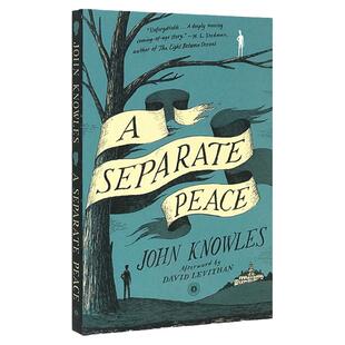 A Separate Peace 独自和解 英文原版青春小说 一个人的和平 英文版 另一种和平 电影原著 可搭麦田里的守望者 英语进口书籍