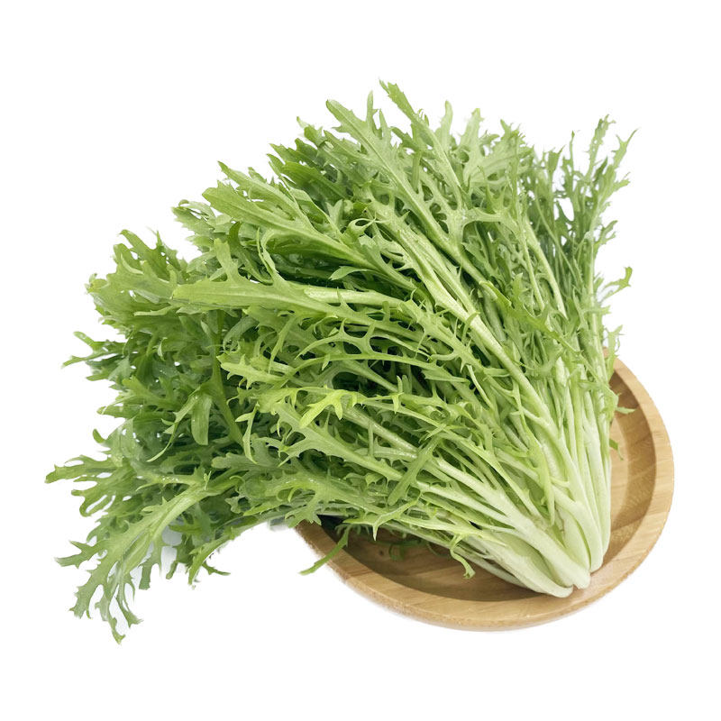新鲜苦细叶轻食沙拉生菜顺丰发货