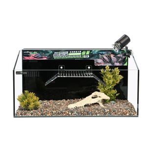 葆易马赫仙巢T5巴西龟半水龟黄缘箱龟锯缘龟缸补水仓桌面背滤龟缸