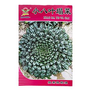 乌塌菜种子小八叶塌菜矮棵黑叶青菜菊花菜耐寒菜籽秋冬播蔬菜种子