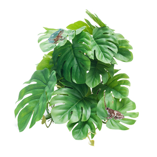 爬宠无菌仿真植物造景雨林缸树蛙角蛙陆龟蜥蜴睫角守宫饲养箱装饰