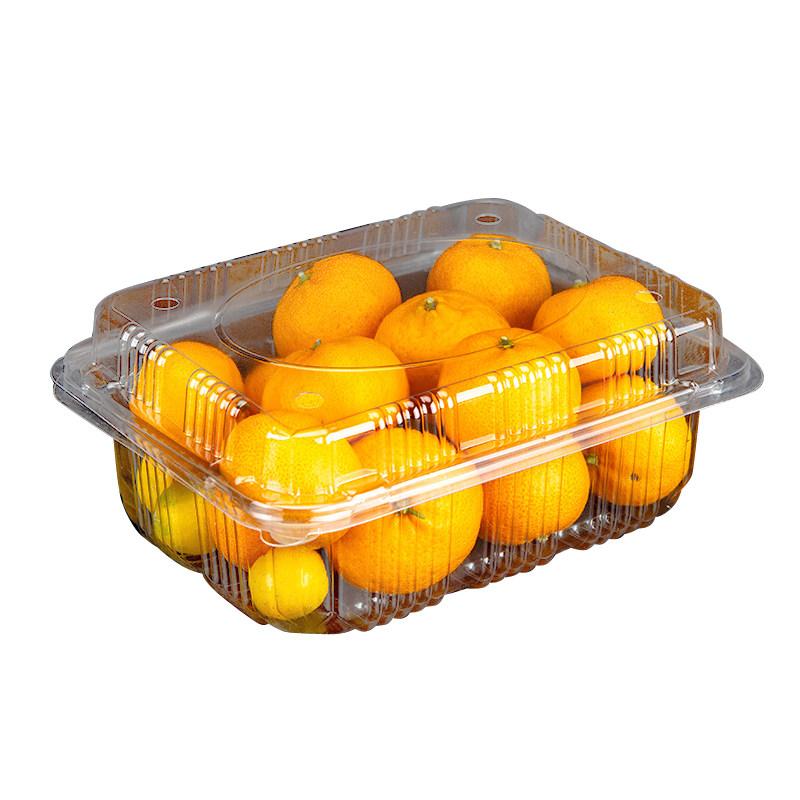 果乐多2斤装塑料水果蔬菜盒一次