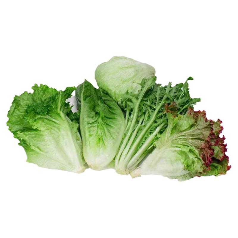 蔬菜沙拉组合新鲜蔬菜3斤装