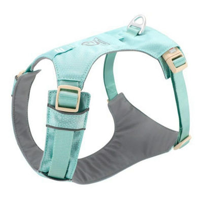 ZOOLAND狗狗胸背牵引绳遛幼小中