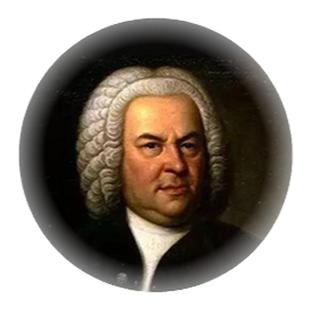 【Leo's Coffee】哥伦比亚 微风庄园 瑰夏 传统水洗精品咖啡豆