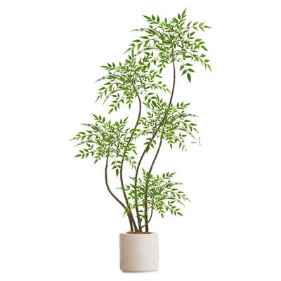 南天竹盆栽客厅真树绿植不活包补