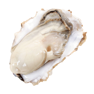 乳山生蚝鲜活5斤海鲜水产新鲜海蛎子带壳无沙牡蛎超特大顺丰包邮