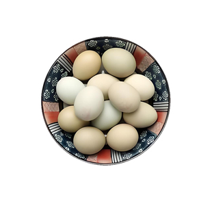 芦丁鸡可孵化受精蛋迷你网红阳台宠物鸡蛋纯白礼服受精卵种蛋德系