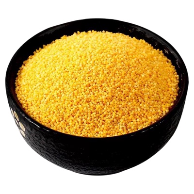 【东北黑龙江】有机黄小米2025年