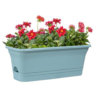 懒人自吸水花盆免浇塑料家庭简约