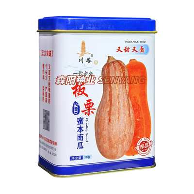 川塔农科板栗蜜本南瓜种子籽春秋