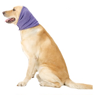 狗狗安抚头套可调节打雷防惊吓看病安抚狗狗情绪睡眠中大型犬防舔