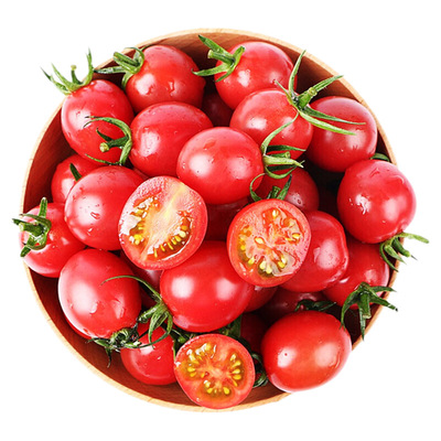 新鲜圣女果小番茄农家酸甜爆汁小西红柿露天种植时令蔬菜水果