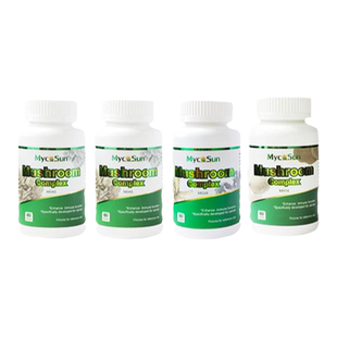 麦科尚菌物营养术后恢复放化疗菌菇营养干预脑菌方（免役）