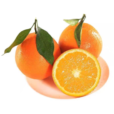 新鲜现摘麻阳麻阳冰糖橙