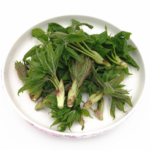 长白山野菜刺五加叶嫩芽新叶坎拐棒子芽老虎潦新芽叶新鲜山菜500g