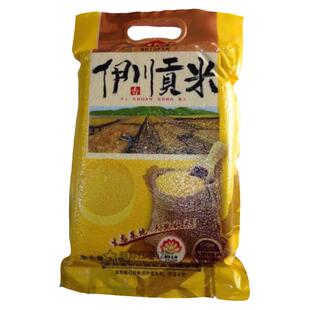 伊川小米 伊河桥小米 河南小米  伊川吕店小米