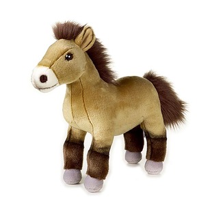 中国国家地理正品毛绒玩具沙漠之舟摆件普氏野马公仔仿真赠束口袋