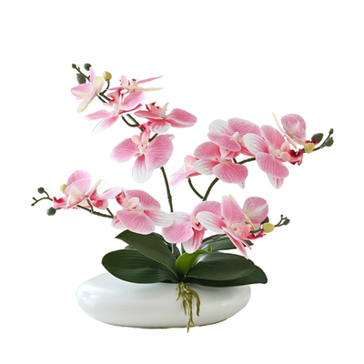 仿真蝴蝶兰仿真花假花花瓶摆件