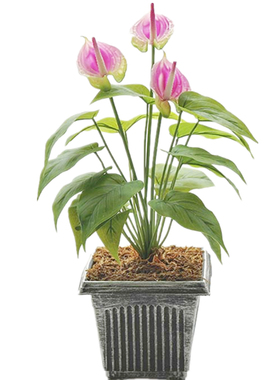 和家软胶火鹤红掌办公室仿真花