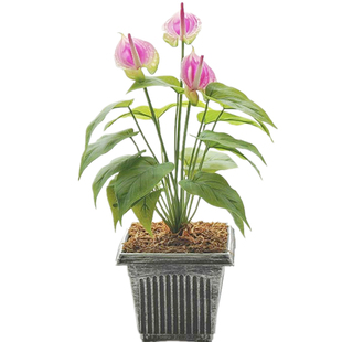 和家PU软胶火鹤红掌仿真花套装办公室假花安祖花盆栽酒店过段摆放