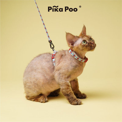 QZee Pika Poo猫咪牵引绳胸背套装安全扣溜猫项圈背心美短布偶