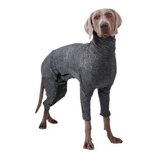 狗狗衣服四脚全包小型中型大型犬金毛法斗猫咪宠物家居服防掉毛衣