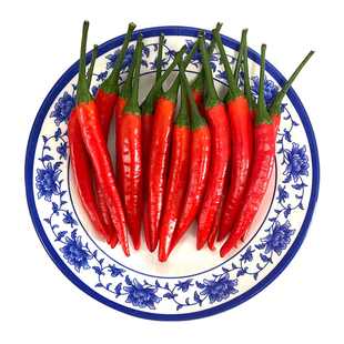 茂名现摘新鲜小米辣椒指天椒超辣红辣椒正宗朝天椒巨辣商用批发