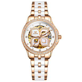 新款瑞士正品牌名手表女士机械表全自动防水简约气质轻奢名表十大