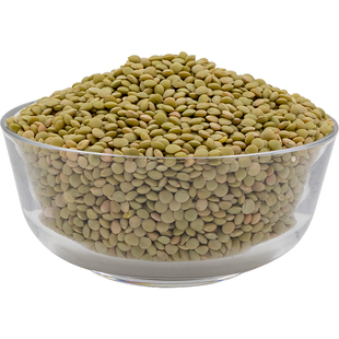 甘肃特产小扁豆干货扁豆子杂粮发豆芽新鲜绿扁豆子面兵豆冰豆500g