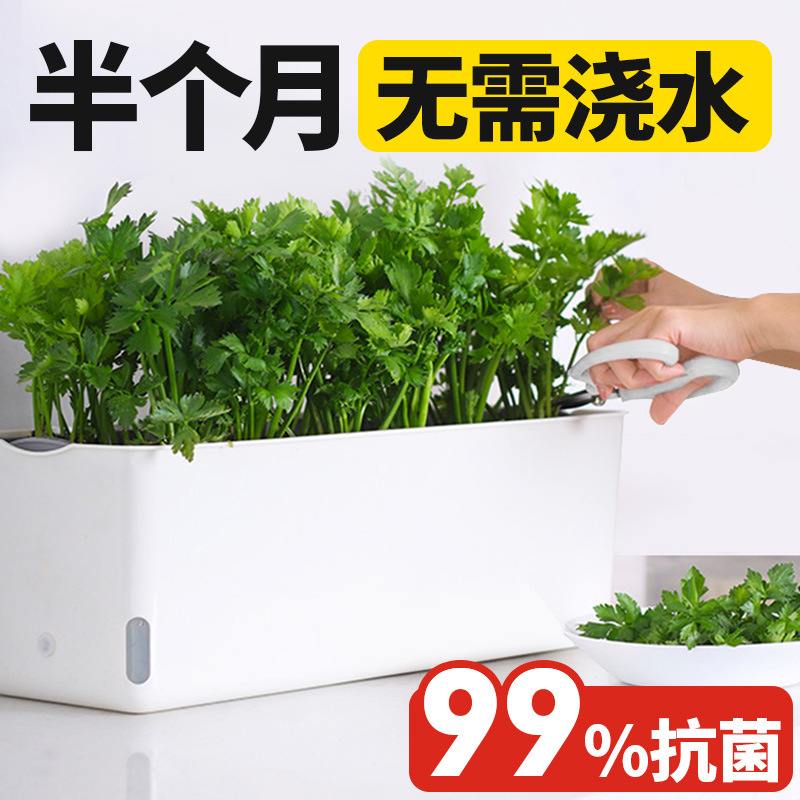 家用阳台懒人长方形自吸水箱花盆蔬菜种菜种植塑料专用种菜盆种植
