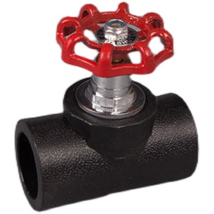 20PE升降截止阀门25自来水管止水闸阀开关4分6分1寸球阀管件配件