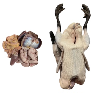 三年老麻鸭大山散养生新鲜现杀正宗广西农村鸭子肉整只水鸭土母鸭