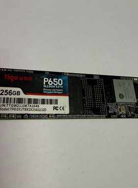 出一个金泰克P650 256G M.2 NVMe固态硬盘，P