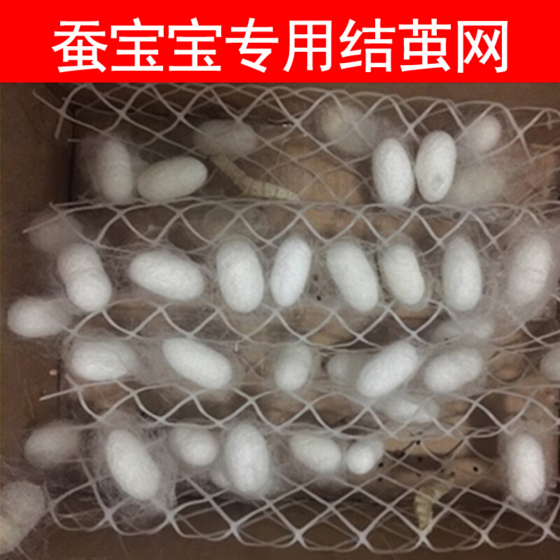 蚕宝宝吐丝结茧网格专用结茧簇网大小网片10年质保养蚕工具套装